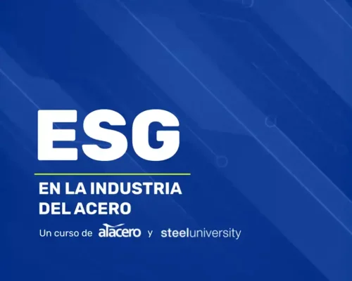ESG IN THE STEEL INDUSTRY