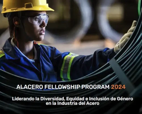 Fellowship Program 2024