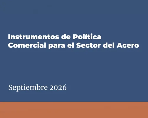 Instrumentos de Politica Comercial para el Sector del Acero - Informe final